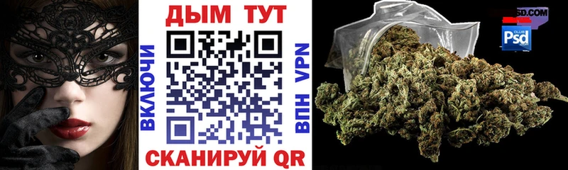 Конопля гибрид  Лабинск 